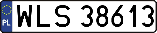 WLS38613