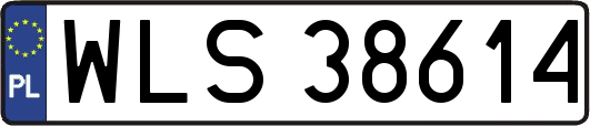 WLS38614
