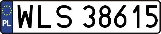 WLS38615