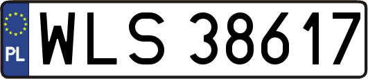 WLS38617