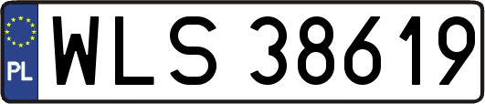 WLS38619