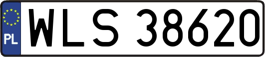 WLS38620