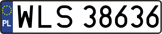 WLS38636