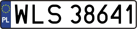 WLS38641