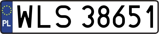 WLS38651