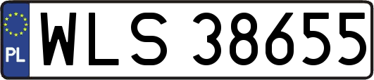 WLS38655