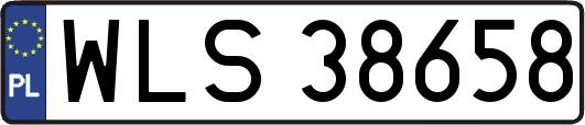 WLS38658