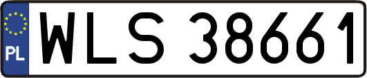WLS38661