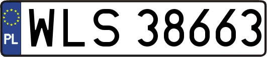 WLS38663