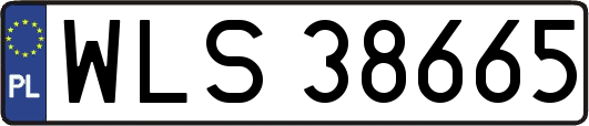 WLS38665