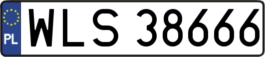 WLS38666