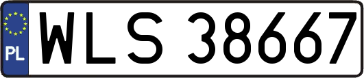 WLS38667