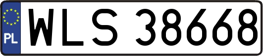 WLS38668