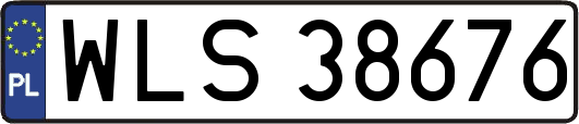 WLS38676