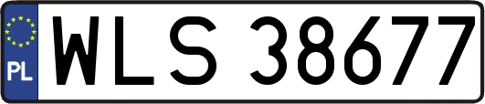WLS38677