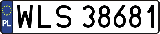 WLS38681