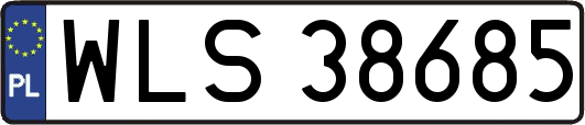 WLS38685