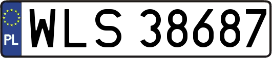 WLS38687