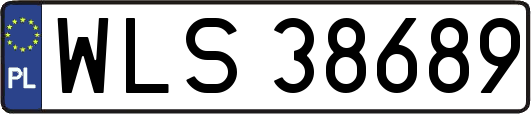 WLS38689