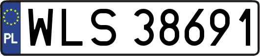 WLS38691