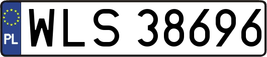 WLS38696