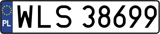 WLS38699