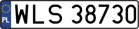 WLS38730