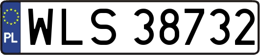 WLS38732