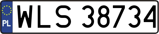 WLS38734