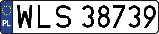 WLS38739