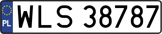 WLS38787