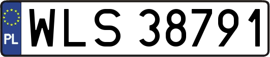 WLS38791