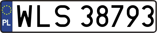 WLS38793