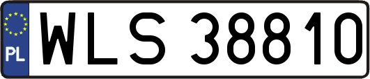 WLS38810