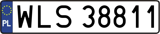 WLS38811