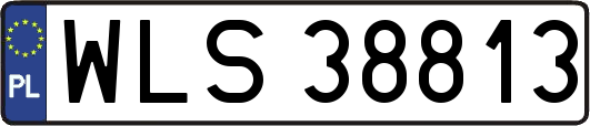 WLS38813