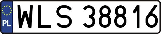WLS38816