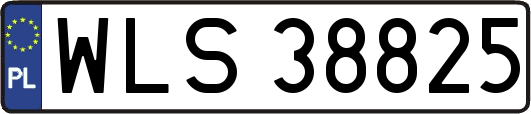 WLS38825
