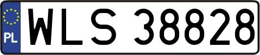 WLS38828
