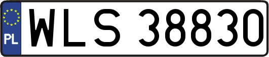 WLS38830