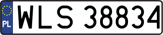 WLS38834