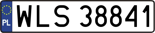 WLS38841