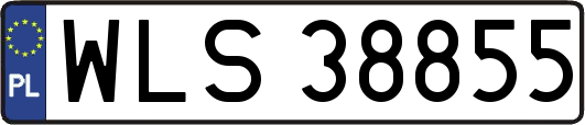 WLS38855