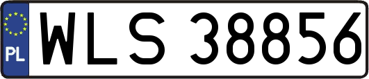 WLS38856