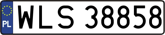 WLS38858