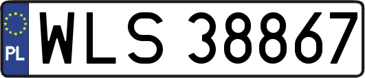 WLS38867