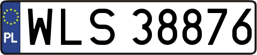 WLS38876