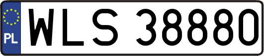 WLS38880