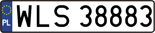 WLS38883