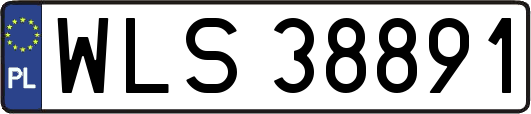 WLS38891